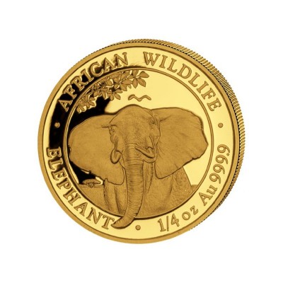 SOMALIE 100 Shillings Or 1/4 Once Eléphant 2021