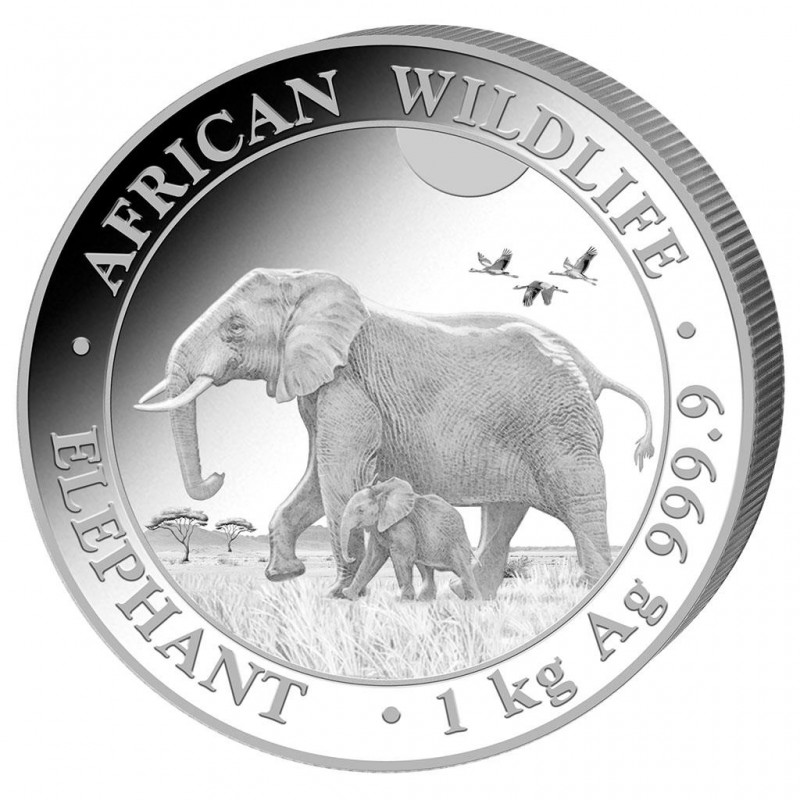 SOMALIE  2 000 Shillings Argent 1 Kilo Eléphant 2022 ⏰