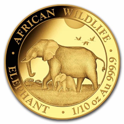 SOMALIE 100 Shillings Or 1/10 Once Eléphant 2022 ⏰