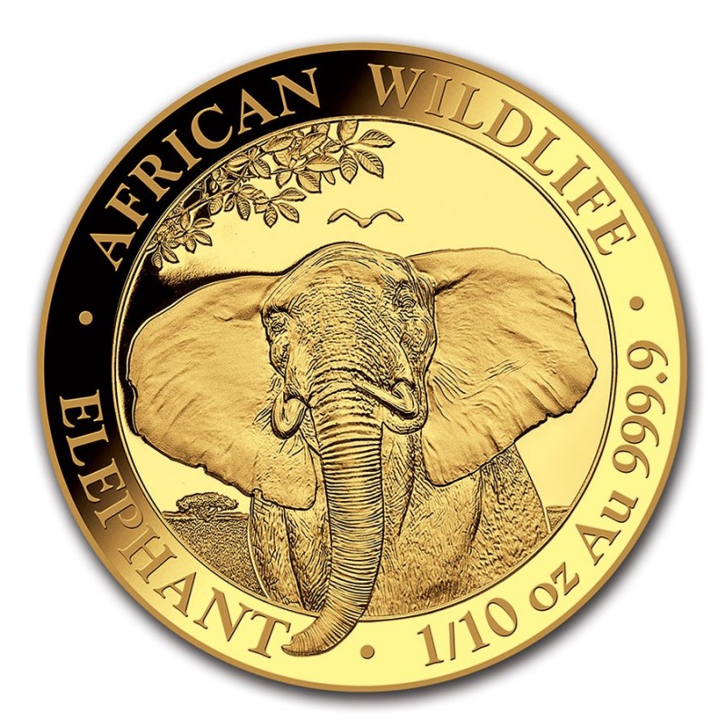 SOMALIE 100 Shillings Or 1/10 Once Eléphant 2021