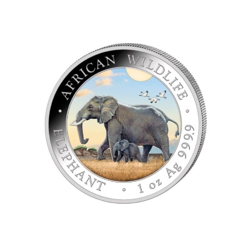 SOMALIE 100 Shillings Argent 1 Once Eléphant Colorisé 2022 ⏰