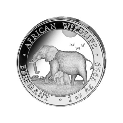 SOMALIE 200 Shillings Argent 2 Onces ELEPHANT 2022