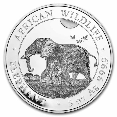 SOMALIE 500 Shillings Argent 5 Onces ELEPHANT 2022 ⏰