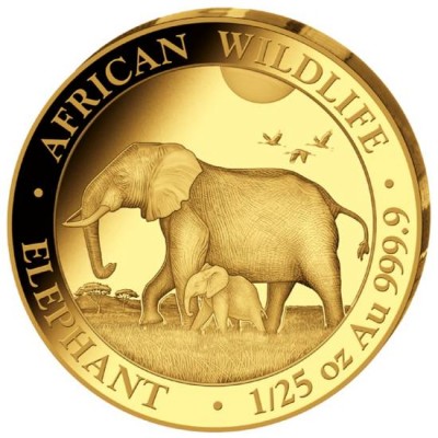 SOMALIE 50 Shillings Or 1/25 Once Eléphant 2022 ⏰