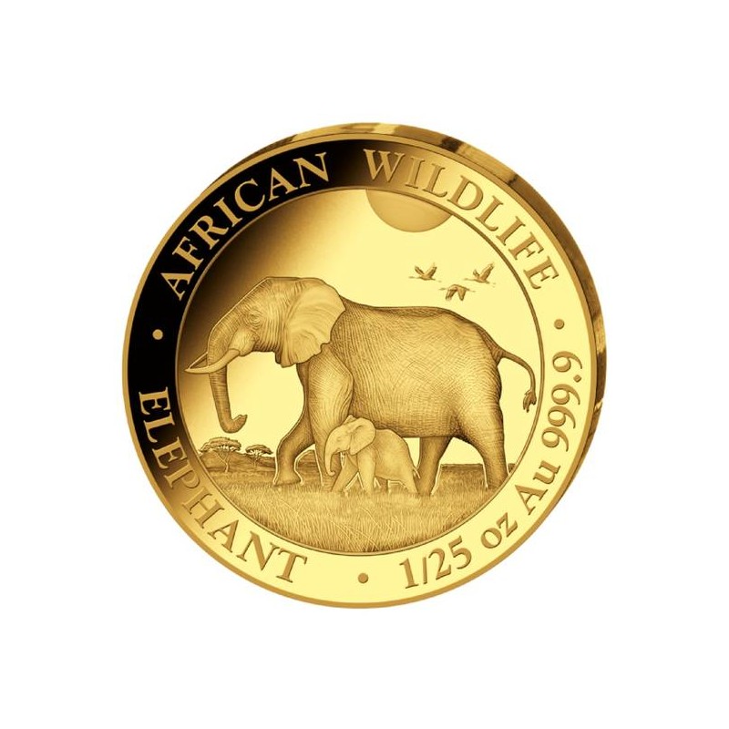 SOMALIE 50 Shillings Or 1/25 Once Eléphant 2022