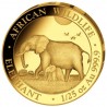 SOMALIE 50 Shillings Or 1/25 Once Eléphant 2022