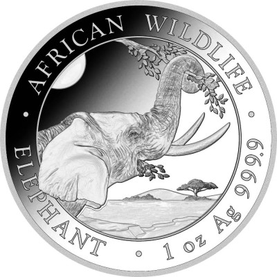 SOMALIE 100 Shillings Argent 1 Once Eléphant 2023 ⏰