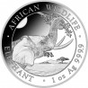 SOMALIE 100 Shillings Argent 1 Once Eléphant 2023