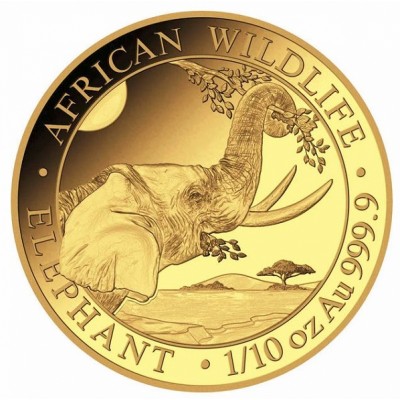 SOMALIE 100 Shillings Or 1/10 Once Eléphant 2023 ⏰