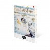 Harry Potter coffret 10 € Blasons - 50 € Lettre d'acceptation 2022 ⏰