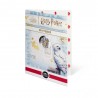Harry Potter coffret 10 € Blasons - 50 € Lettre d'acceptation 2022 ⏰