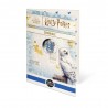 Harry Potter coffret 10 € Blasons - 50 € Lettre d'acceptation 2022 ⏰