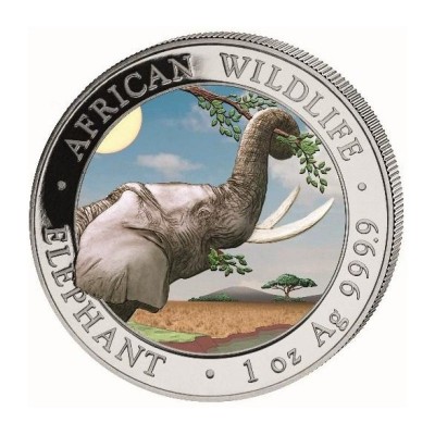 SOMALIE 100 Shillings Argent 1 Once Eléphant Colorisé 2023 ⏰