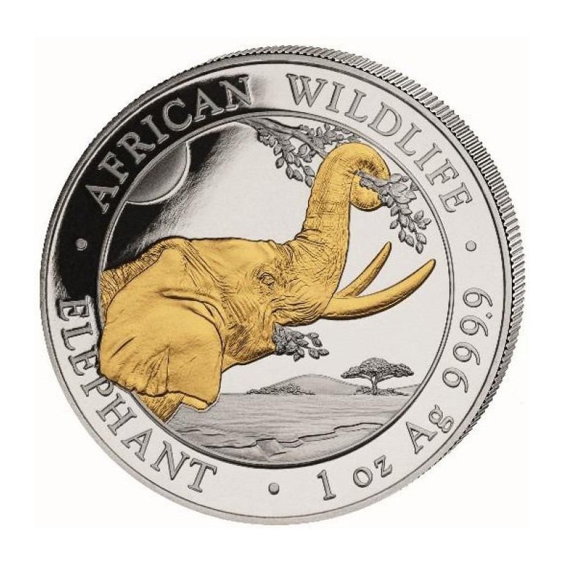 SOMALIE 100 Shillings Argent 1 Once Eléphant Doré 2023