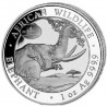 SOMALIE 100 Shillings Argent 1 Once Eléphant 2023 WMF Berlin ⏰