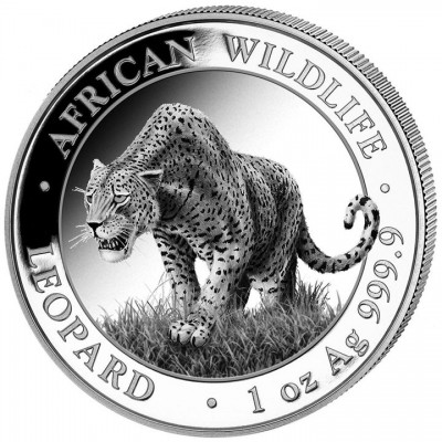 SOMALIE 100 Shillings Argent 1 Once Wildlife Léopard 2023 ⏰