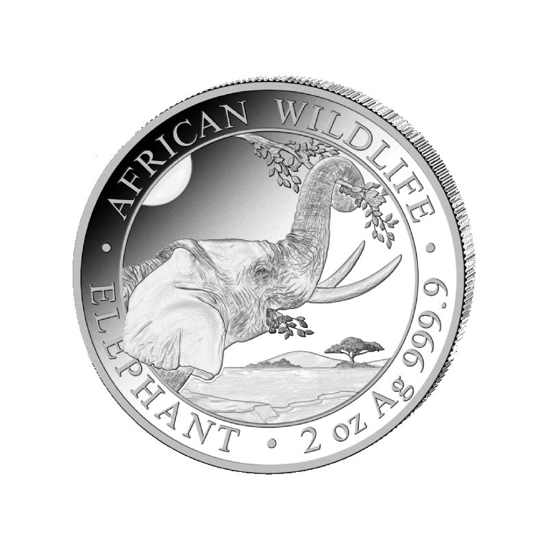 SOMALIE 200 Shillings Argent 2 Onces Éléphant 2023 ⏰