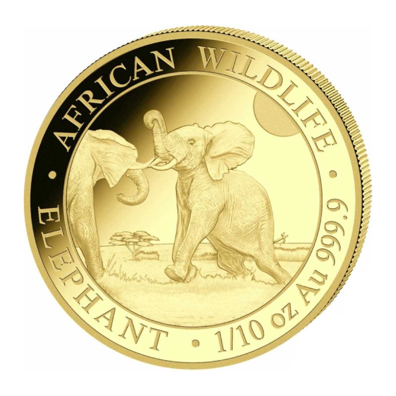 SOMALIE 100 Shillings Or 1/10 Once Eléphant 2024