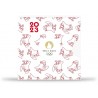 FRANCE Collection JO 2024 250 Euros Or 2023 Mascotte 2023