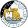 SOMALIE 100 Shillings Argent 1 Once Doré Eléphant 2024 ⏰