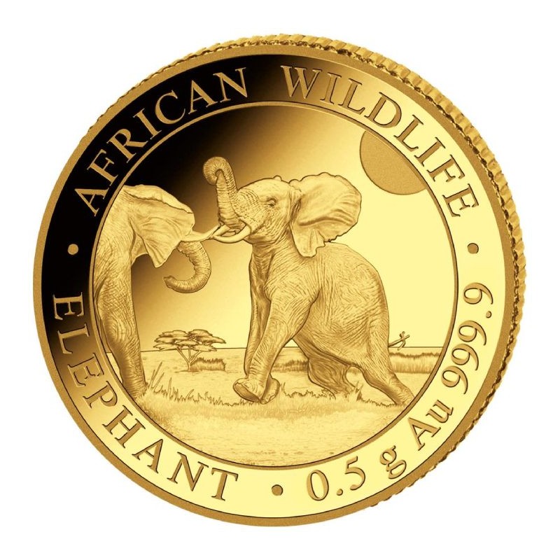 SOMALIE 20 Shillings Or 1/2 Gramme Eléphant 2024