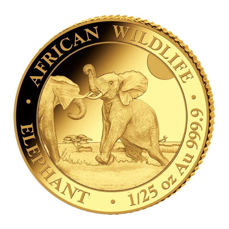 SOMALIE 50 Shillings Or 1/25 Once Eléphant 2024