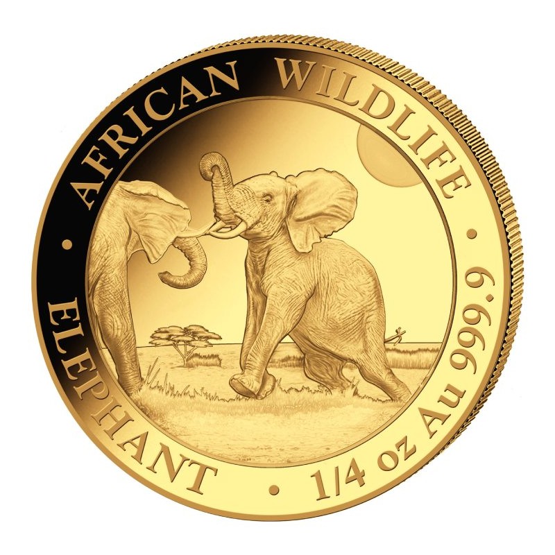 SOMALIE 200 Shillings Or 1/4 Once Eléphant 2024