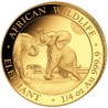 SOMALIE 200 Shillings Or 1/4 Once Eléphant 2024