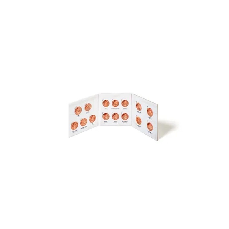 FRANCE Album + 15 x 1/4 euro Commémorative JO 2024 Série Sport