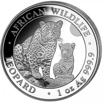 SOMALIE 100 Shillings Argent 1 Once Wildlife Léopard 2024