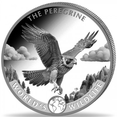 CONGO 20 Francs Argent 1 Once Vie Sauvage Faucon Pèlerin 2024
