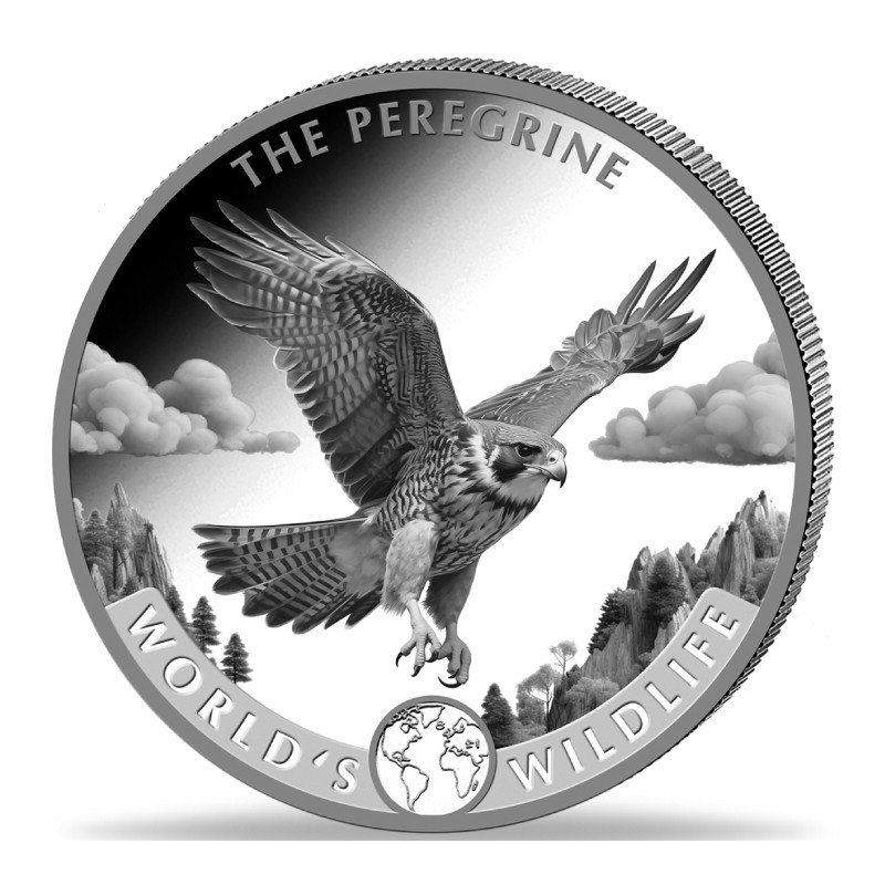 CONGO 20 Francs Argent 1 Once Vie Sauvage Faucon Pèlerin 2024