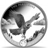 CONGO 20 Francs Argent 1 Once Vie Sauvage Faucon Pèlerin 2024