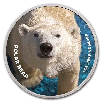 Médaille Argent Couleur 1 Once Zoo San Diego Ours Polaire TEP