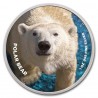 Médaille Argent Couleur 1 Once Zoo San Diego Ours Polaire TEP
