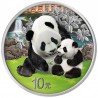 CHINE 10 Yuan Argent Couleur 30 grammes Panda 2024