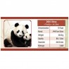 CHINE 10 Yuan Argent Couleur 30 grammes Panda 2024