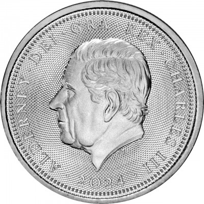 ALDERNEY 1 Pound Argent 1 Once 80 Ans du D-day 2024 ⏰