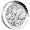 AUSTRALIE 1 Dollar Argent 1 Once Wombat 2024 ⏰