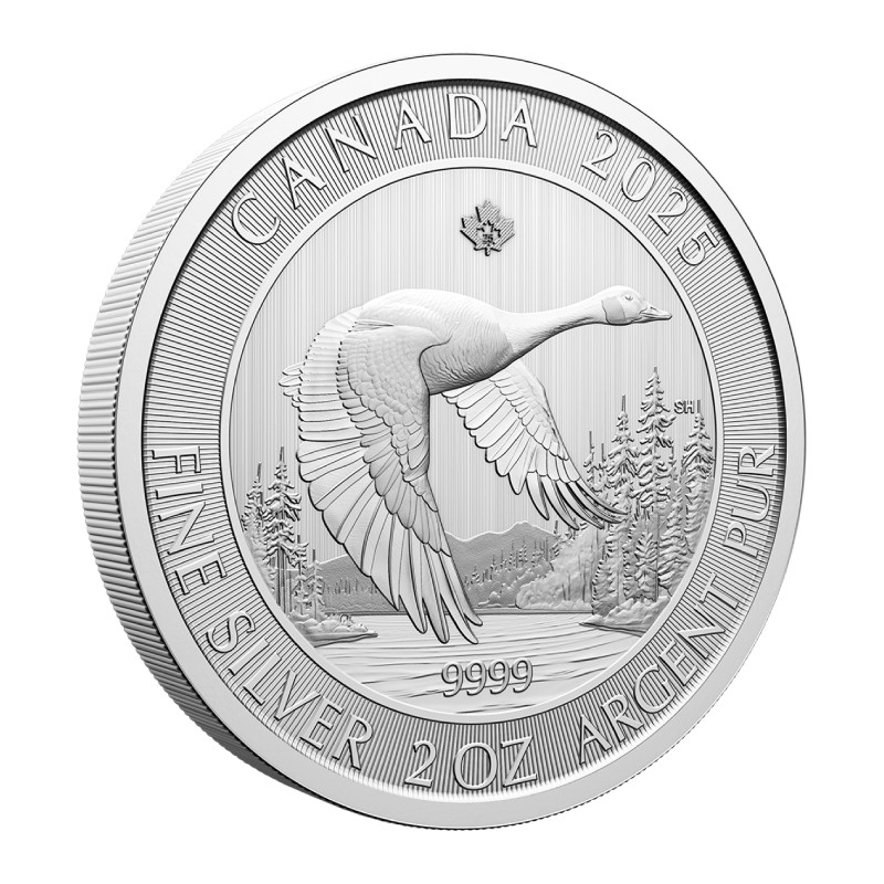 CANADA 10 Dollars Argent 2 Onces Oie 2024 ⏰