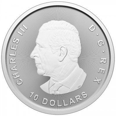 CANADA 10 Dollars Argent 2 Onces Oie 2024 ⏰
