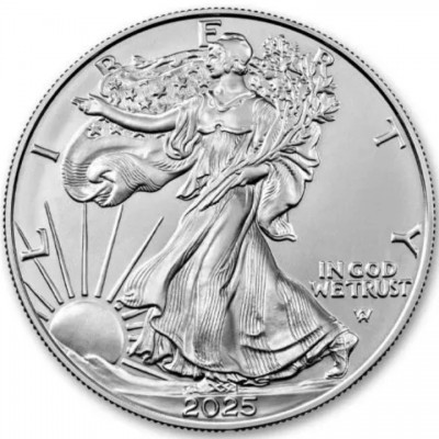 ETATS-UNIS 1 Dollar Argent...