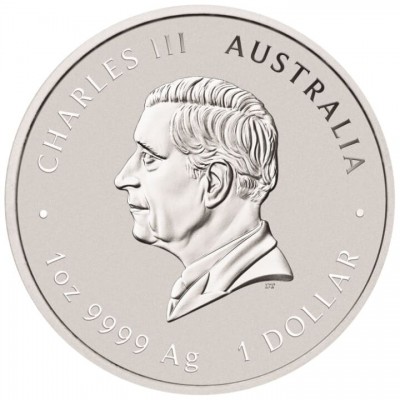 AUSTRALIE 1 Dollar Argent 1 Once Année du Serpent Marque Dragon 2025 ⏰