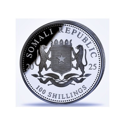SOMALIE 100 Shillings Argent 1 Once Wildlife Léopard 2025 ⏰