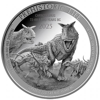 CONGO 20 Francs Argent 1...
