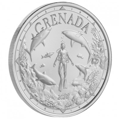 GRENADE 2 Dollars Argent 1...