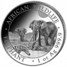 SOMALIE 100 Shillings Argent 1 Once Elephant 2026 ⏰