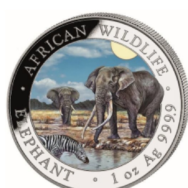 SOMALIE 100 Shillings Argent Couleur 1 Once Eléphant 2026 ⏰