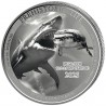 CONGO 20 Francs Argent 1 Once Vie Préhistorique Megalodon 2025 ⏰