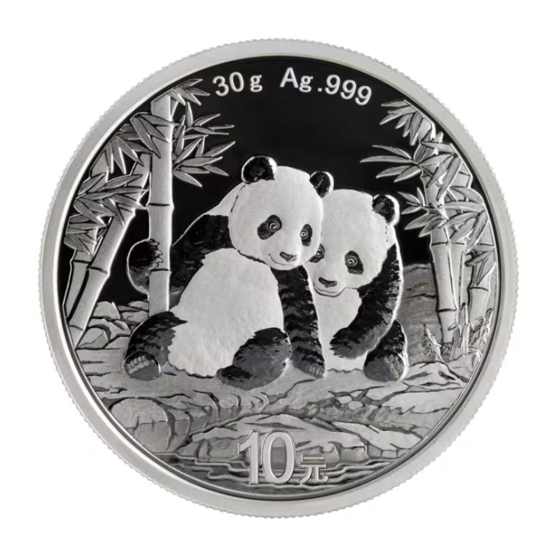 CHINE 10 Yuan Argent 30 grammes Panda 2026